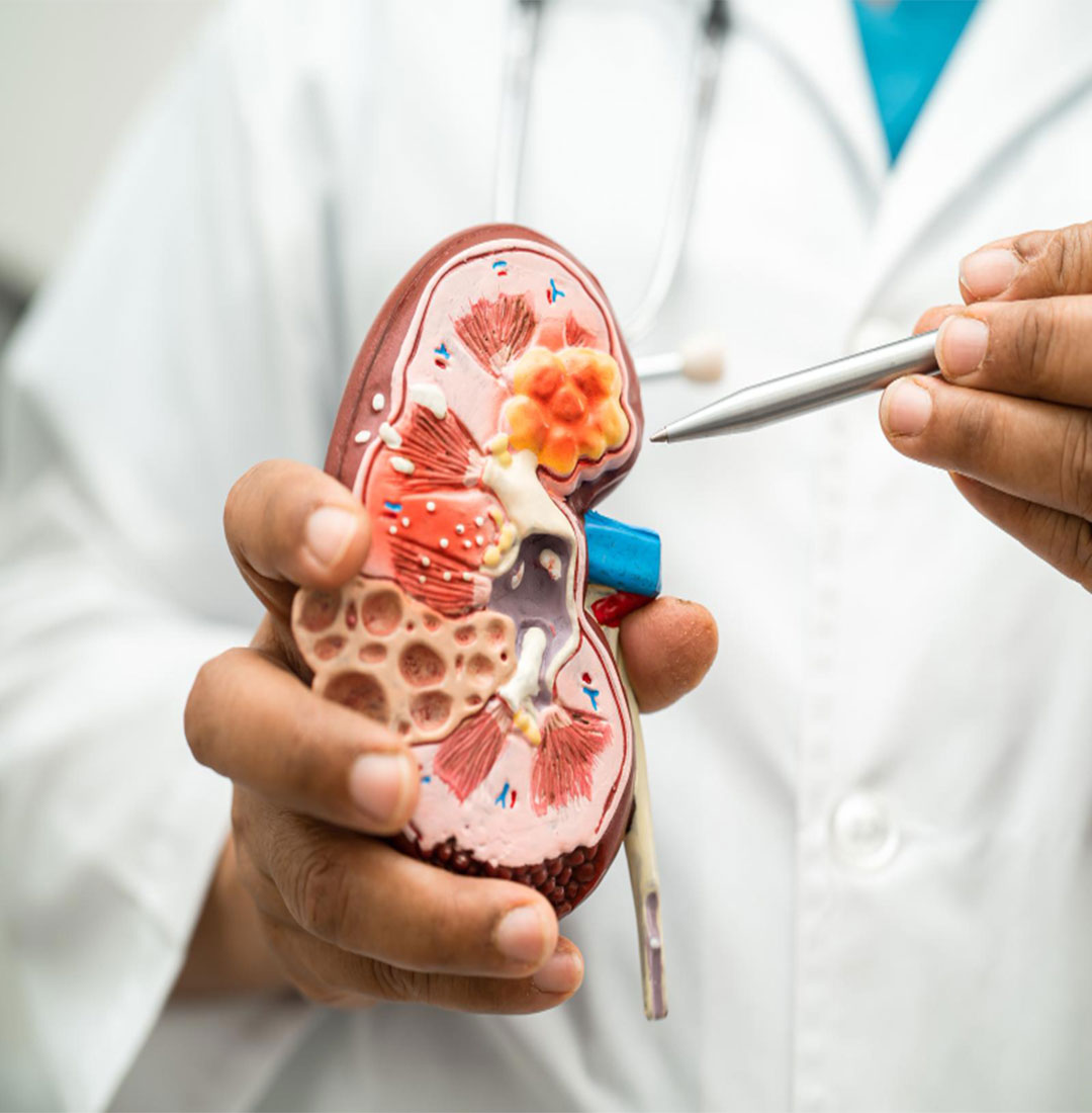 Ayurvedic Treatment at Jeevanya Ayurveda