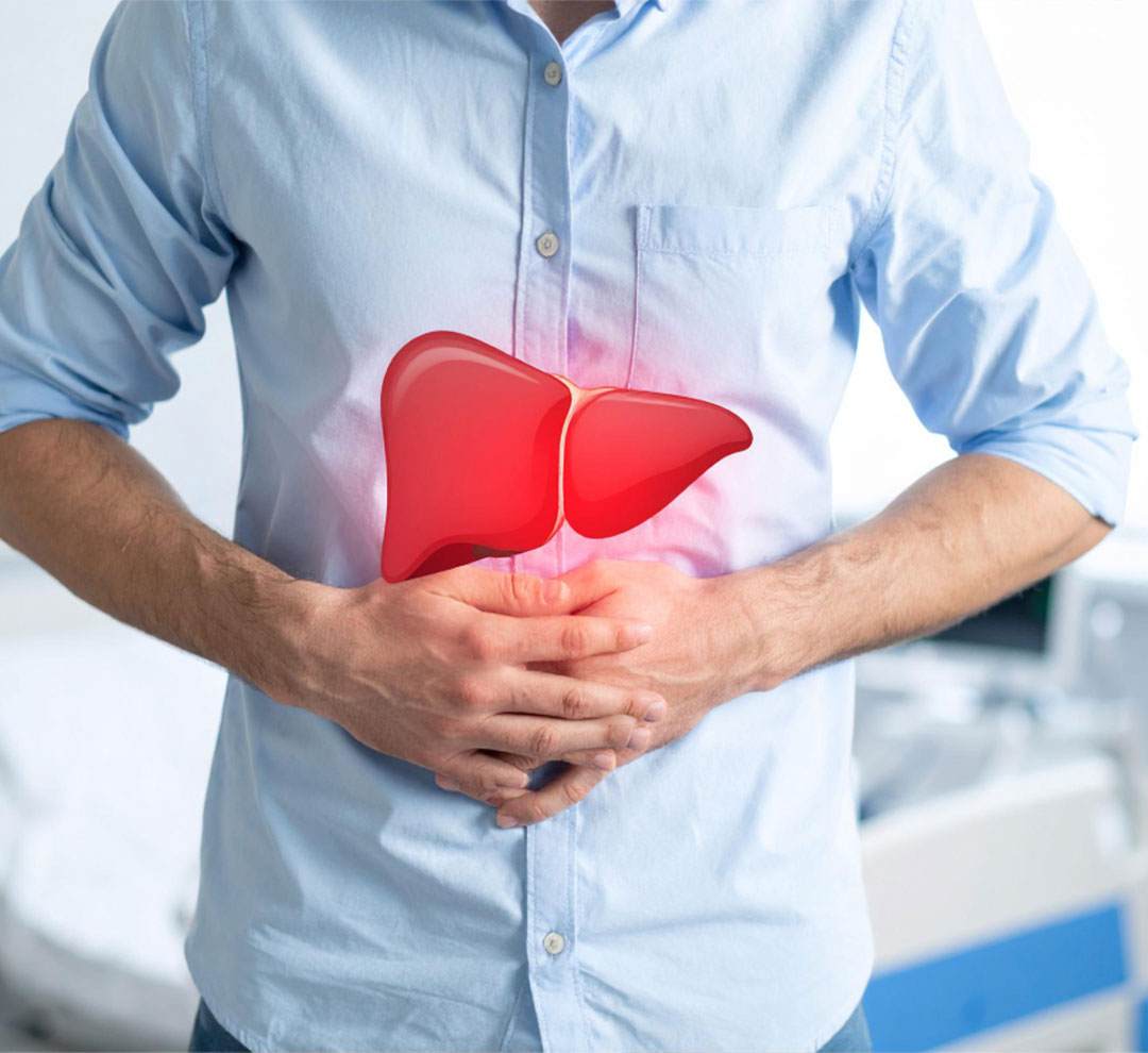 Liver Health Illustration showing healthy and damaged liver