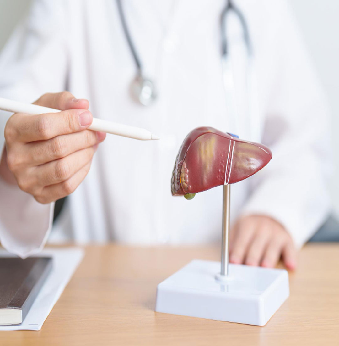 Ayurvedic Liver Treatment at Jeevanya Ayurveda